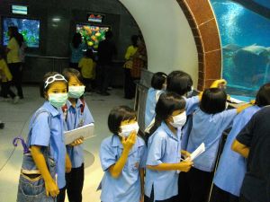 imgp1223.jpg