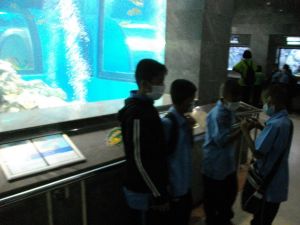 imgp1242.jpg