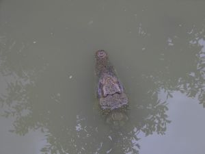 imgp1257.jpg