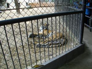 imgp1275.jpg