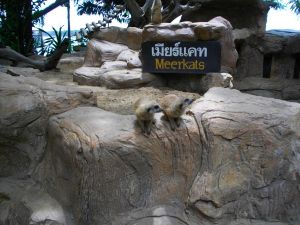 imgp1278.jpg