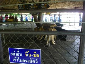 imgp1282.jpg