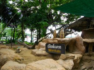 imgp1289.jpg