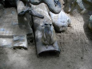 imgp1291.jpg