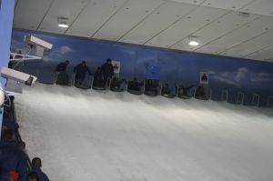 _mg_0317.jpg