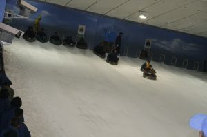 _mg_0318.jpg