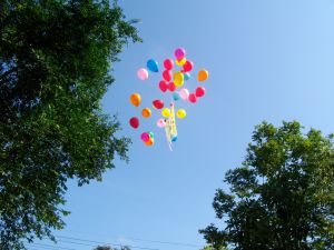 imgp0793.jpg