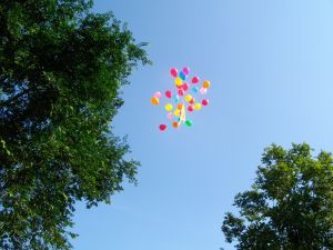 imgp0794.jpg
