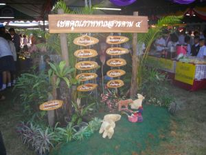 imgp2033.jpg