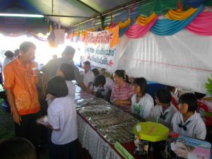 imgp2043.jpg