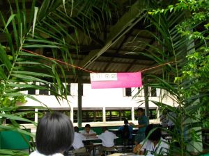 imgp0407.jpg