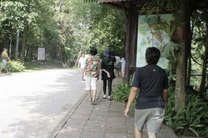 _mg_3349.jpg