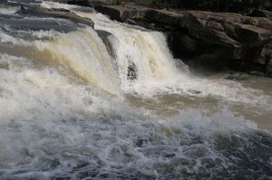 _mg_3395.jpg