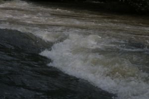 _mg_3422.jpg