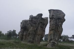 _mg_3507.jpg