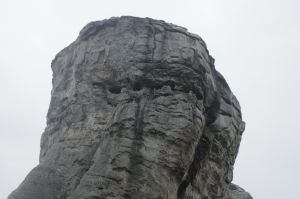 _mg_3513.jpg