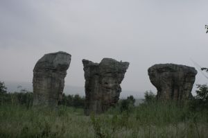 _mg_3524.jpg