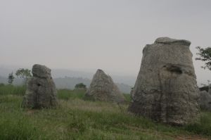 _mg_3550.jpg