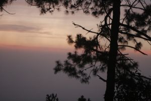 _mg_7225.jpg