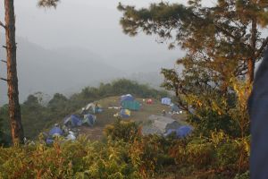 _mg_7268.jpg