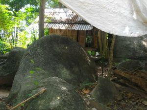 imgp0936.jpg