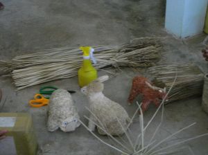 imgp1483.jpg