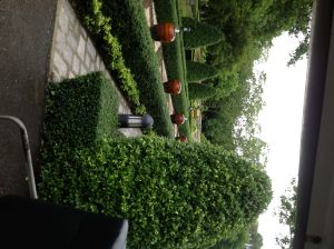 IMG_0804.JPG