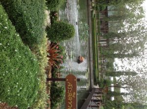 IMG_0807.JPG