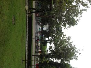 IMG_0812.JPG