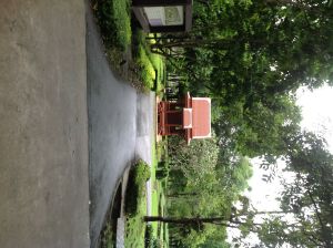 IMG_0821.JPG
