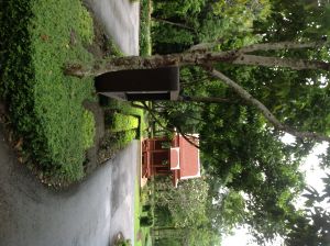 IMG_0822.JPG