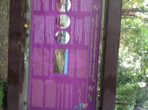 IMG_0823.JPG