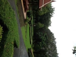 IMG_0824.JPG