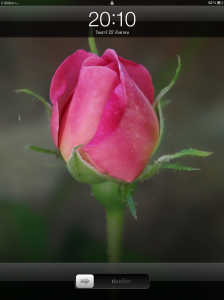 IMG_1293.PNG
