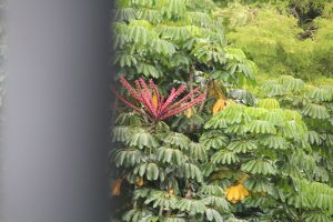 IMG_3642.JPG