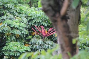 IMG_3643.JPG