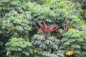 IMG_3644.JPG