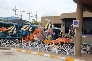 IMG_3683.JPG