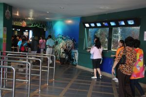 IMG_3706.JPG