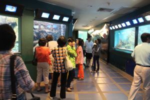 IMG_3709.JPG