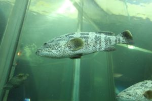 IMG_3718.JPG