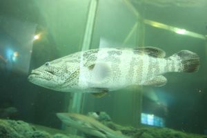 IMG_3719.JPG