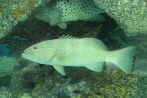 IMG_3721.JPG