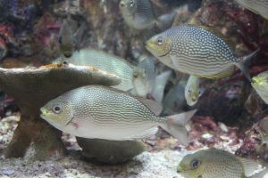 IMG_3722.JPG