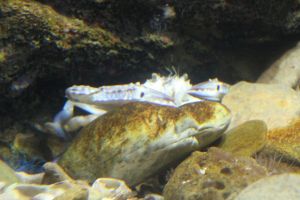 IMG_3725.JPG