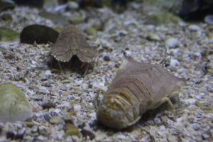 IMG_3726.JPG