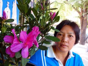 IMG_20121227_134959.jpg