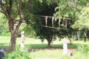 IMG_4775.JPG
