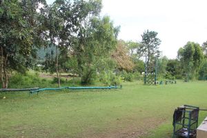 IMG_4805.JPG