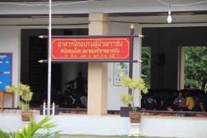IMG_4963.JPG